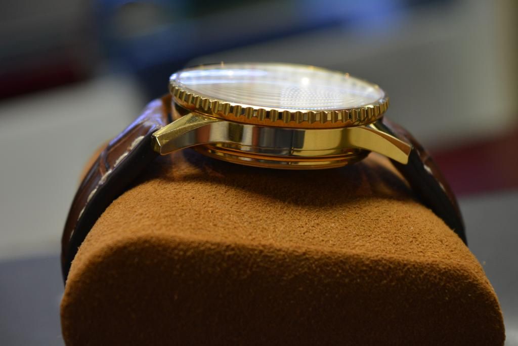 DSC_0014_zpszpqpwfcy.jpg