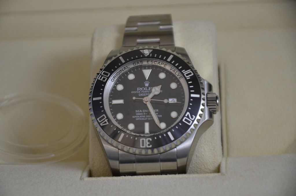 DSC_6448_zpssexvmm6f.jpg