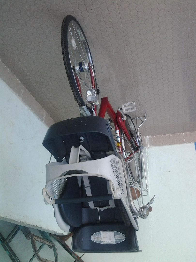 lục bình gỗ lim xẹc ( thanh lý giá rẻ) - 1