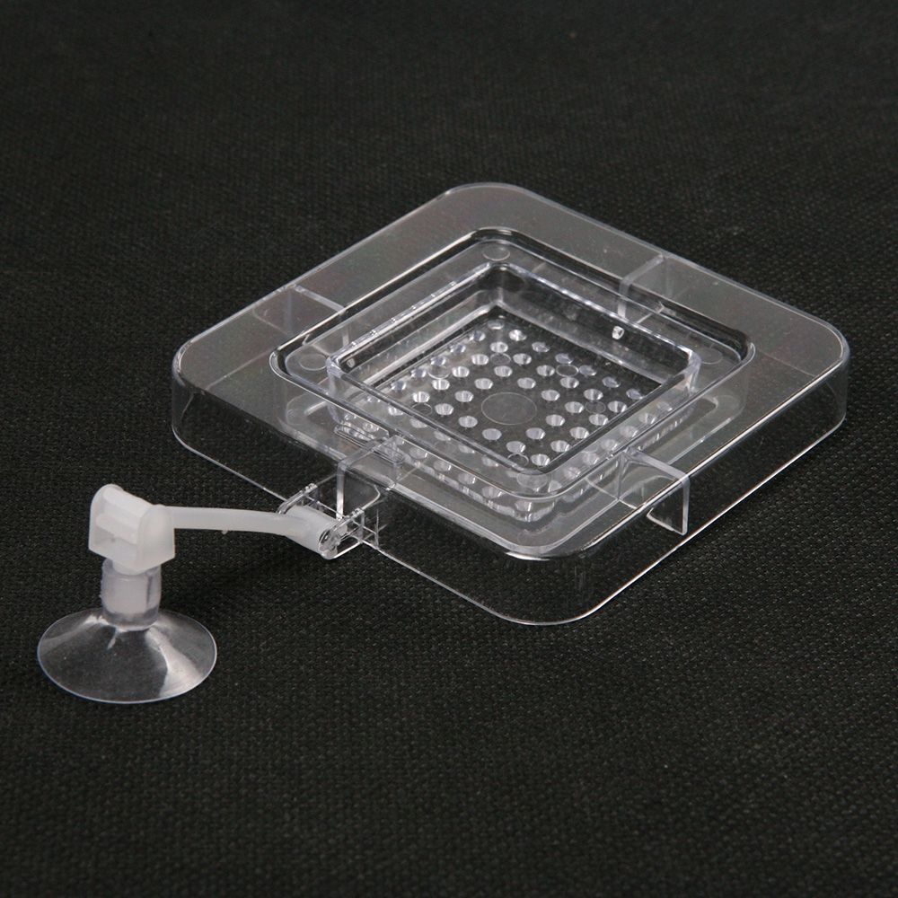 Fish Aquarium Plastic Feeding Ring with Sieve eBay