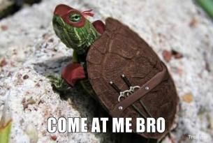 come-at-me-bro-thumb_zps8a06c9e8.jpg