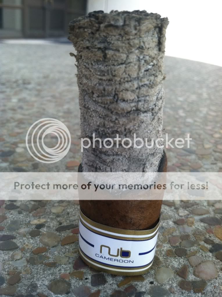 oliva烟屁股鱼雷的卷工还是很好的