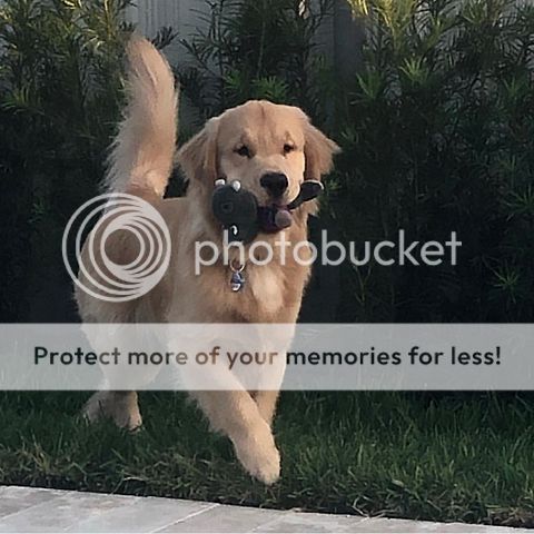 Photobucket - Video and Image Hosting