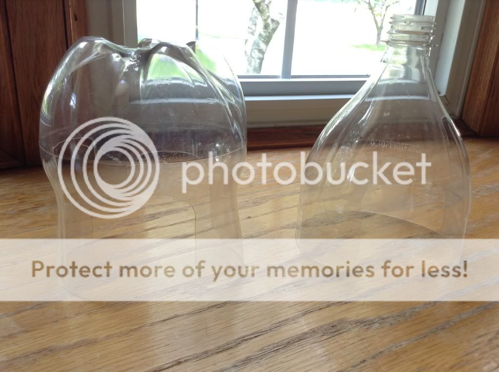 DIY Toys, are these safe for a Dwarf? - Hamster Central